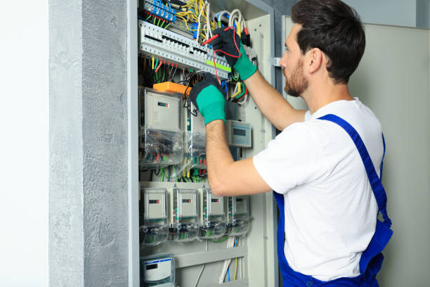 Best Electric Panel Repair  in Crow Agency, MT